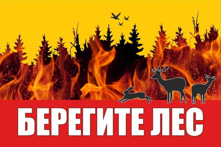 Единый день профилактики лесных пожаров.